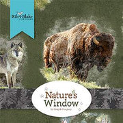 Nature&#39;s Window