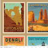 SALE National Parks Wilderness Wonders LARGE Panel - Riley Blake Designs - Recreation 63 National Parks Posters - Quilting Cotton Fabric