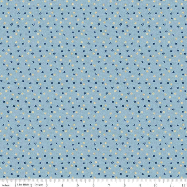 33" End of Bolt - SALE Delightful Daisies C10256 Blue - Riley Blake Designs - Floral Flowers - Quilting Cotton Fabric