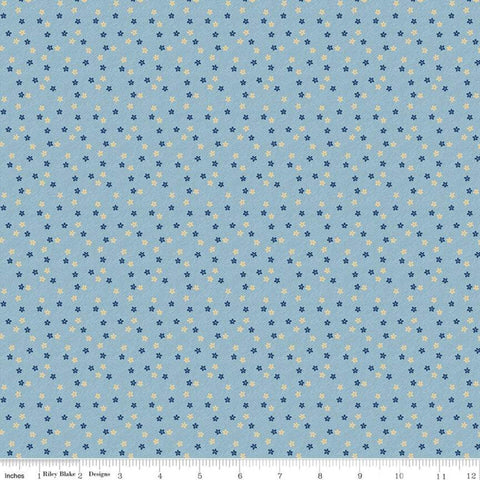 33" End of Bolt - SALE Delightful Daisies C10256 Blue - Riley Blake Designs - Floral Flowers - Quilting Cotton Fabric