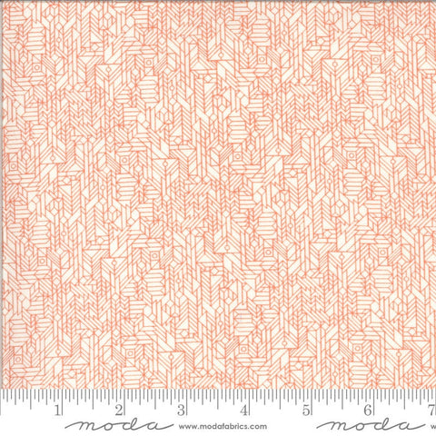 Fat Quarter End of Bolt - CLEARANCE Cider Honey Crisp 30648 Pumpkin Cookies - Moda Fabrics - Orange Off-White - Quilting Cotton Fabric