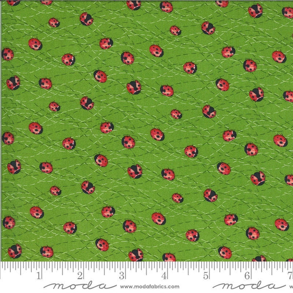 Fat Quarter End of Bolt - SALE Solana Ladybug 48684 Sprout - Moda Fabrics - Ladybugs Bugs Green - Quilting Cotton Fabric