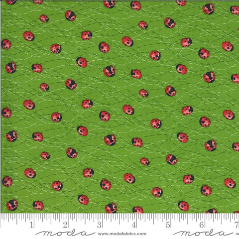 Fat Quarter End of Bolt - SALE Solana Ladybug 48684 Sprout - Moda Fabrics - Ladybugs Bugs Green - Quilting Cotton Fabric