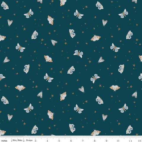 SALE Camp Woodland Moths C10462 Navy - Riley Blake Designs - Moths Stars Blue - Quilting Cotton Fabric