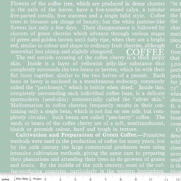 18" End of Bolt - CLEARANCE Coffee Chalk Text C11039 Aqua - Riley Blake Designs - Words Blue - Quilting Cotton Fabric