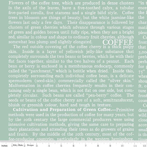 18" End of Bolt - CLEARANCE Coffee Chalk Text C11039 Aqua - Riley Blake Designs - Words Blue - Quilting Cotton Fabric