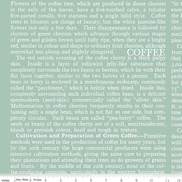 18" End of Bolt - CLEARANCE Coffee Chalk Text C11039 Aqua - Riley Blake Designs - Words Blue - Quilting Cotton Fabric