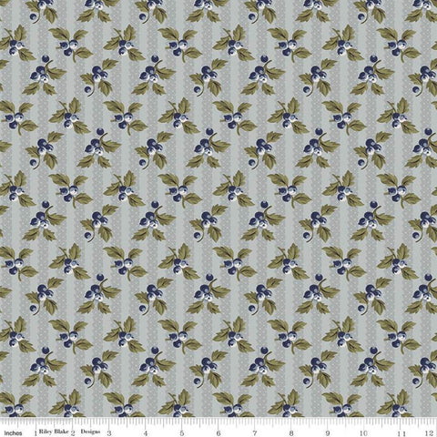 19" End of Bolt - CLEARANCE Buttercup Blooms Stripe C11154 Dusk - Riley Blake -Floral Flowers Gray Striped Background-Quilting Cotton Fabric