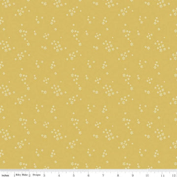 Fat Quarter End of Bolt - Daybreak Seeds C11626 Daisy - Riley Blake Designs - Floral Flowers - Quilting Cotton Fabric
