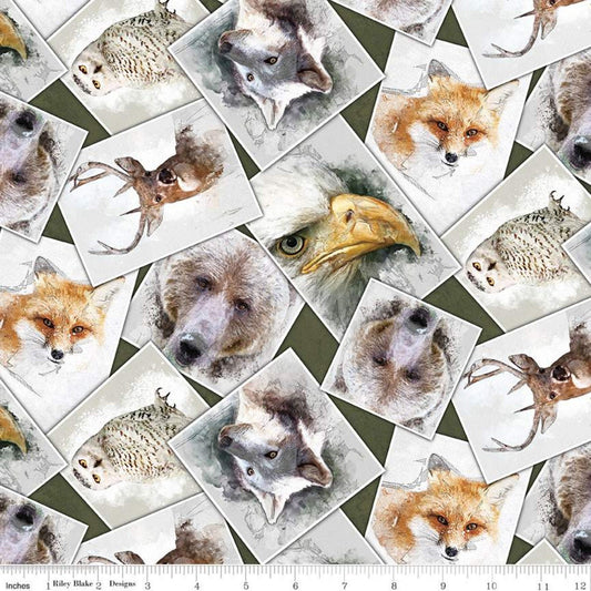 Fat Quarter End of Bolt Piece CLEARANCE Nature's Window CD11861 Forest Riley Blake Designs DIGITALLY PRINTED Animal Wildlife Quilting Cotton