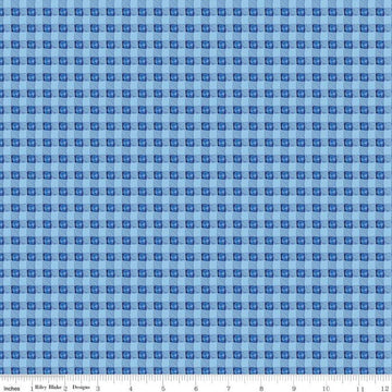 17" End of Bolt SALE Sunshine and Dewdrops PRINTED Gingham C11977 Sky - Riley Blake Designs - Blue Checks Checkered - Quilting Cotton Fabric
