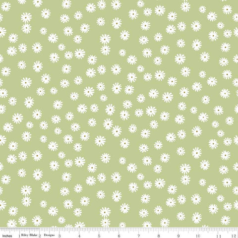 Fat Quarter End of Bolt Piece - Flower Garden Daisies C11903 Green - Riley Blake Designs - Floral Cream Flowers - Quilting Cotton Fabric