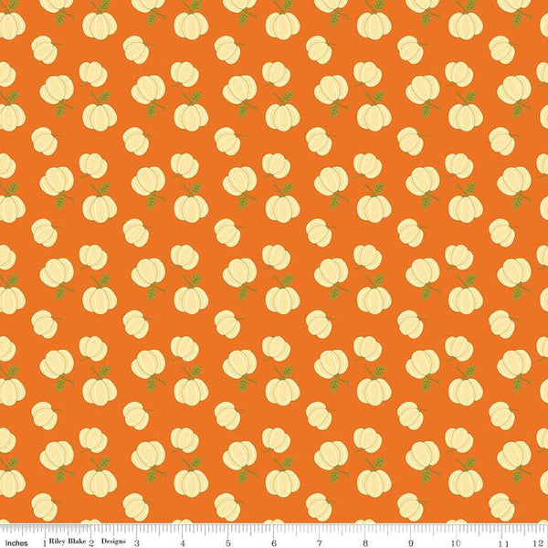 Fat Quarter End of Bolt - SALE Awesome Autumn Pumpkins C12171 Orange by Riley Blake Designs - Fall Pumpkin - Quilting Cotton Fabric