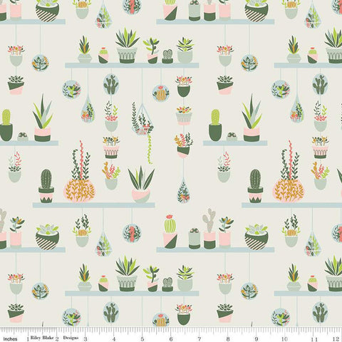 Fat Quarter End of Bolt - Arid Oasis Hanging Garden C12491 Off White - Riley Blake - Cactus Cacti Succulent Plants - Quilting Cotton Fabric