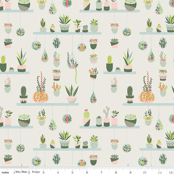 Fat Quarter End of Bolt - SALE Arid Oasis Hanging Garden C12491 Off White - Riley Blake - Cacti Succulent Plants - Quilting Cotton Fabric