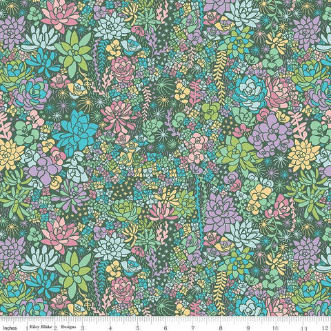 11" End of Bolt - SALE Arid Oasis Main C12490 Hunter by Riley Blake Designs - Succulents Succulent Plants - Quilting Cotton Fabric