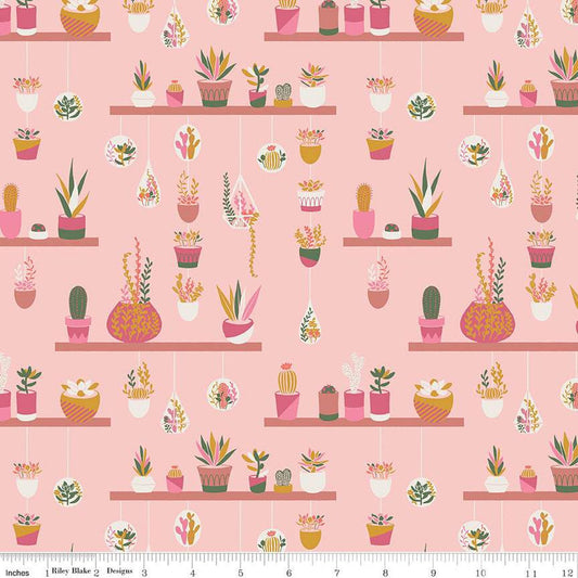 Fat Quarter End of Bolt - CLEARANCE Arid Oasis Hanging Garden C12491 Pink by Riley Blake - Cactus Succulents Plants - Quilting Cotton Fabric