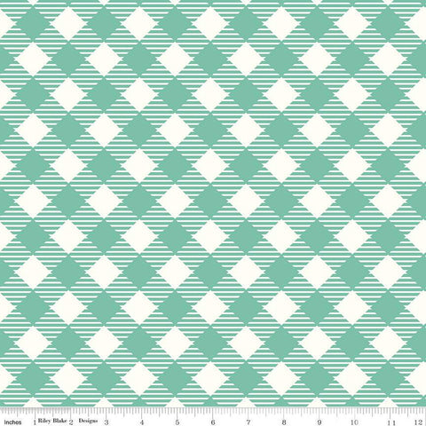 2 yds 25" End of Bolt Piece - SALE Bee Ginghams WIDE BACK WB12562 Sea Glass - Riley Blake - 107/108" Wide 3/4" - Quilting Cotton Fabric