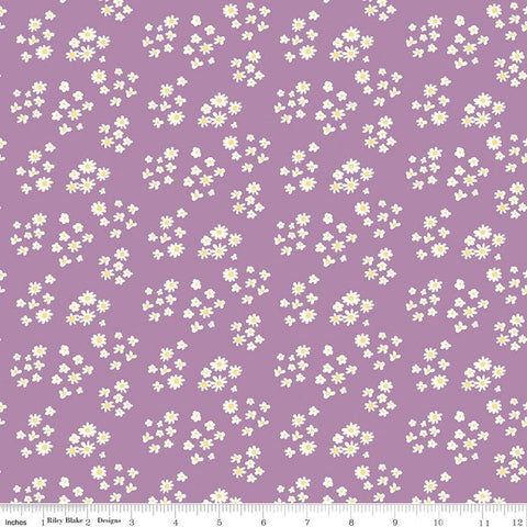 Fat Quarter End of Bolt - SALE Hello Spring Daisies C12962 Lavender - Riley Blake - Floral Flowers Cream Daisy - Quilting Cotton Fabric