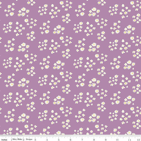 Fat Quarter End of Bolt - SALE Hello Spring Daisies C12962 Lavender - Riley Blake - Floral Flowers Cream Daisy - Quilting Cotton Fabric