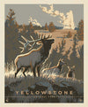 SALE National Parks Poster Panel Yellowstone PD13297 - Riley Blake Designs - DIGITALLY PRINTED - Quilting Cotton Fabric