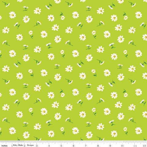 London Parks Dulwich Daisy C 01666856C - Riley Blake Designs - Floral Flowers -  Liberty Fabrics  - Quilting Cotton Fabric