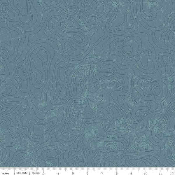 National Parks Topographic C13293 Blue - Riley Blake Designs - Outdoors Tone-on-Tone Map - Quilting Cotton Fabric