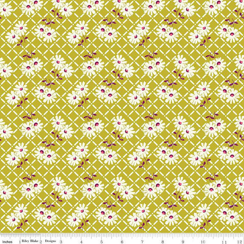 Adel in Summer Trellis C13391 Pear - Riley Blake Designs - Floral Flowers White Zinnias - Quilting Cotton Fabric