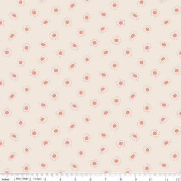 SALE In the Afterglow Daisies C13375 Cream - Riley Blake Designs - Floral Flowers - Quilting Cotton Fabric