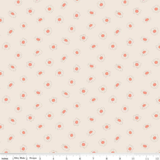 SALE In the Afterglow Daisies C13375 Cream - Riley Blake Designs - Floral Flowers - Quilting Cotton Fabric