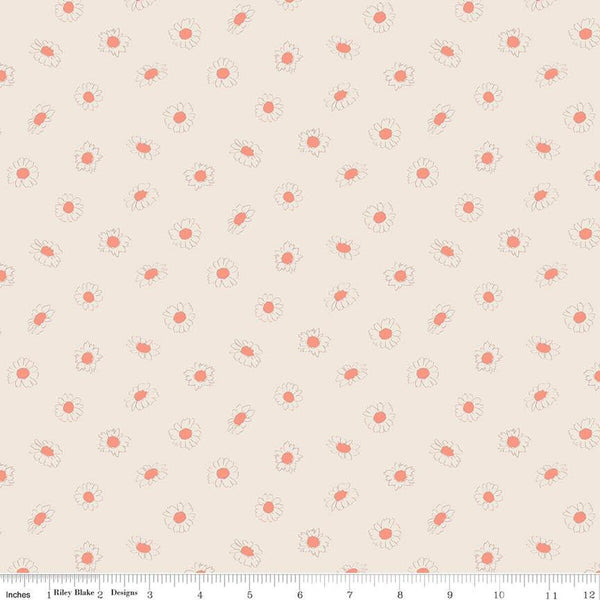 SALE In the Afterglow Daisies C13375 Cream by Riley Blake Designs - Floral Flowers - Quilting Cotton Fabric