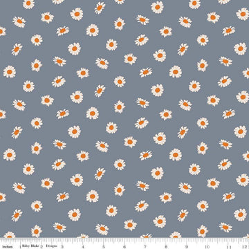 19" End of Bolt - SALE In the Afterglow Daisies C13375 Stone - Riley Blake Designs - Floral Flowers - Quilting Cotton Fabric