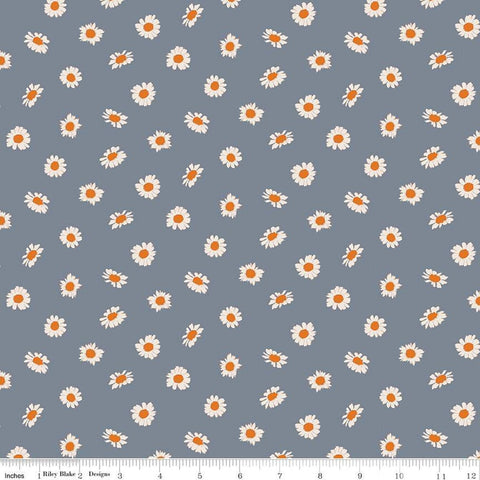CLEARANCE In the Afterglow Daisies C13375 Stone by Riley Blake Designs - Floral Flowers - Quilting Cotton Fabric