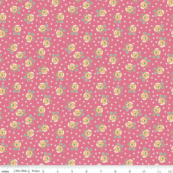 CLEARANCE Home Town Lewis C13585 Tea Rose by Riley Blake Designs - Floral Flowers Stars - Lori Holt - Quilting Cotton Fabric