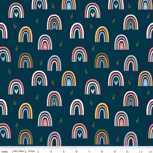 SALE Day in the Life Rainbows C13661 Oxford - Riley Blake Designs - Quilting Cotton Fabric