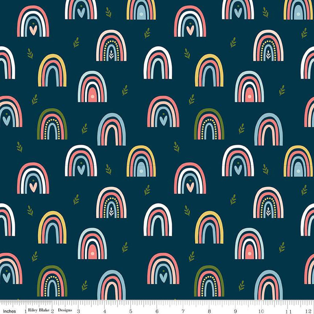 SALE Day in the Life Rainbows C13661 Oxford - Riley Blake Designs - Quilting Cotton Fabric