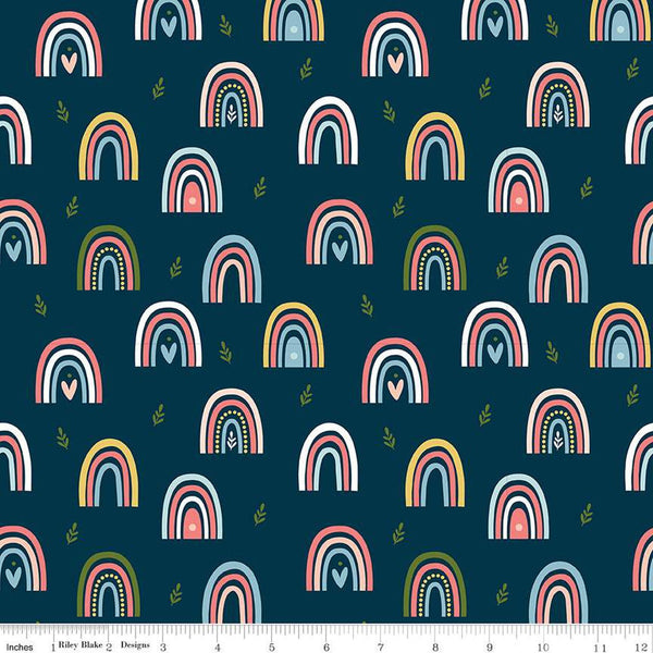 SALE Day in the Life Rainbows C13661 Oxford - Riley Blake Designs - Quilting Cotton Fabric