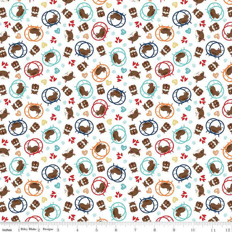 Pets Hamsters C13654 White - Riley Blake Designs - Children's Hamster Hearts Paw Prints  - Quilting Cotton Fabric