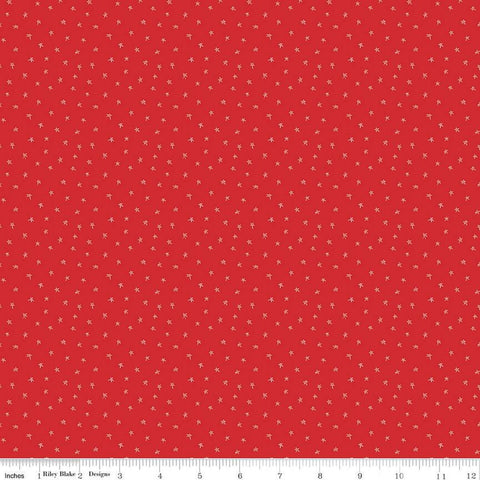Pets Stars C13657 Red - Riley Blake Designs - Children's Star - Quilting Cotton Fabric