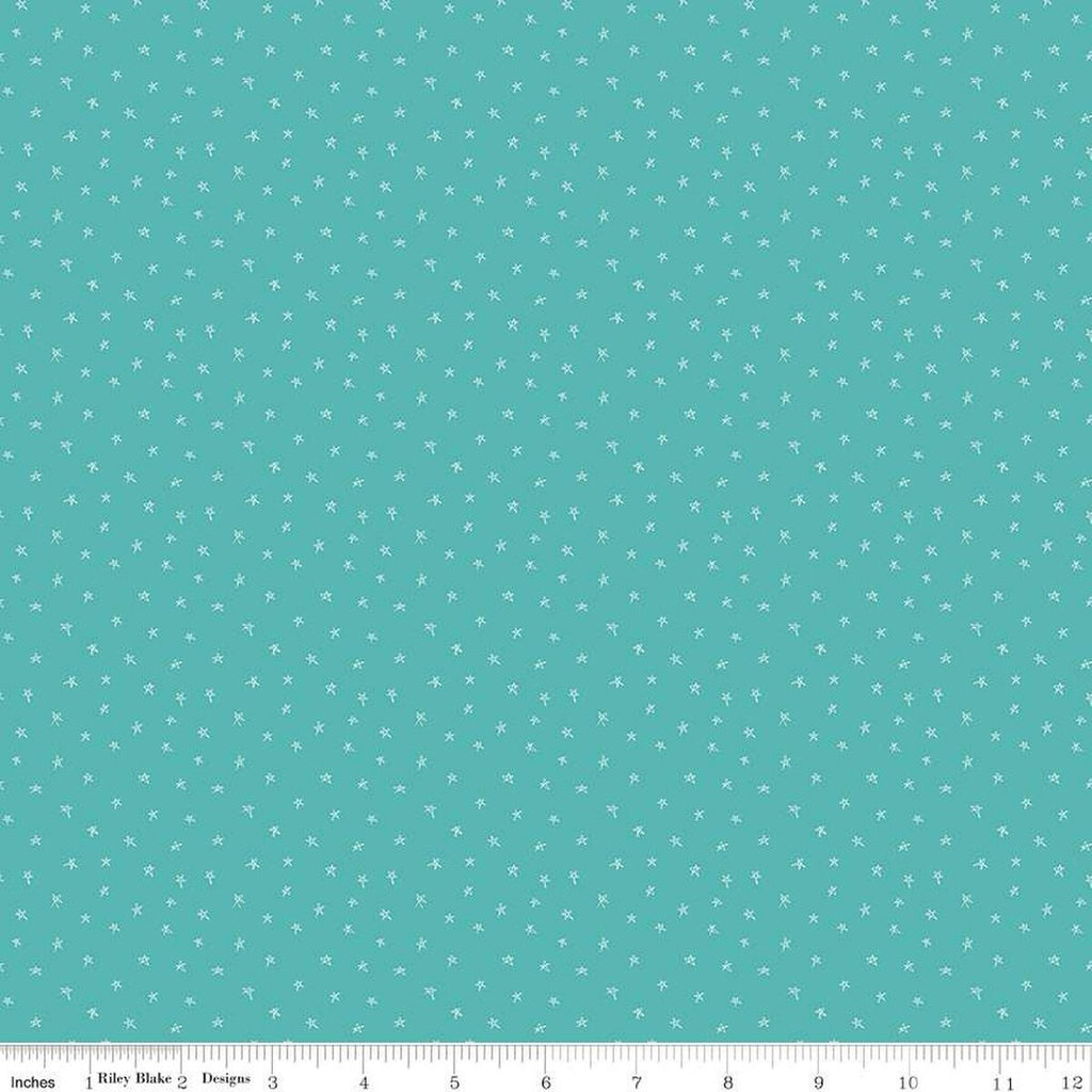 Pets Stars C13657 Teal by Riley Blake Designs - Children's Star - Quilting Cotton Fabric