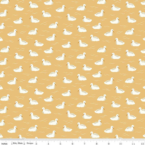 Fat Quarter End of Bolt Piece - CLEARANCE Little Swan Baby Swans C13746 Honey by Riley Blake  - Bird Birds Ripples - Quilting Cotton