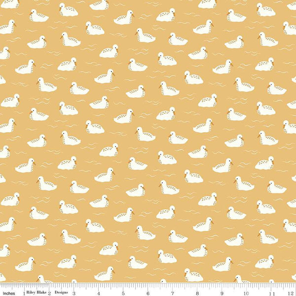 33" End of Bolt Piece - CLEARANCE Little Swan Baby Swans C13746 Honey by Riley Blake  - Bird Birds Ripples - Quilting Cotton