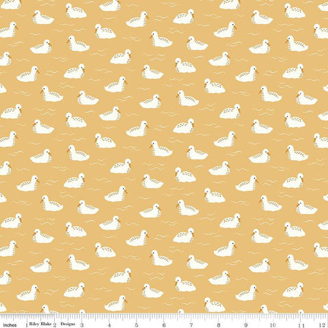 33" End of Bolt Piece - CLEARANCE Little Swan Baby Swans C13746 Honey by Riley Blake  - Bird Birds Ripples - Quilting Cotton