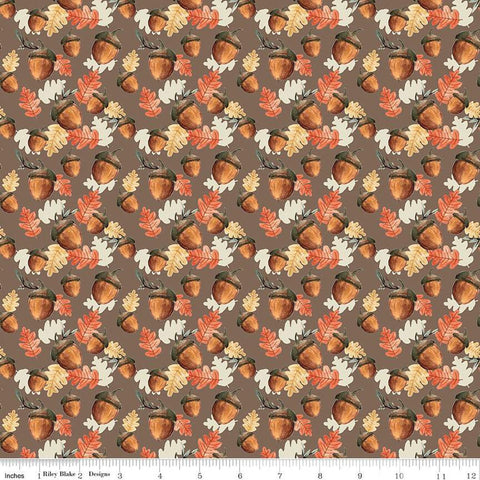 CLEARANCE Shades of Autumn Acorns C13473 Brown by Riley Blake  - Thanksgiving Fall Acorns Leaves - Quilting Cotton