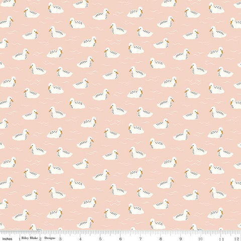 CLEARANCE Little Swan Baby Swans C13746 Blush by Riley Blake  - Bird Birds Ripples - Quilting Cotton