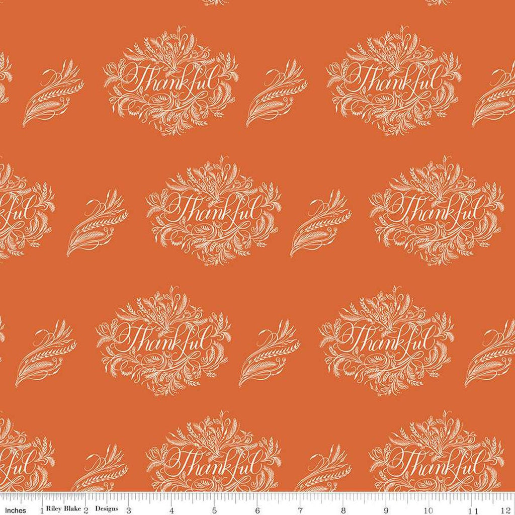SALE Monthly Placemats 2 November Thankful C13941 Orange - Riley Blake Designs - Thanksgiving - Quilting Cotton Fabric