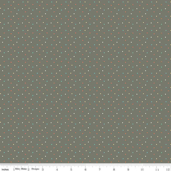 SALE Happy at Home Dots C13706 Gray - Riley Blake Designs - Dot Dotted - Quilting Cotton Fabric