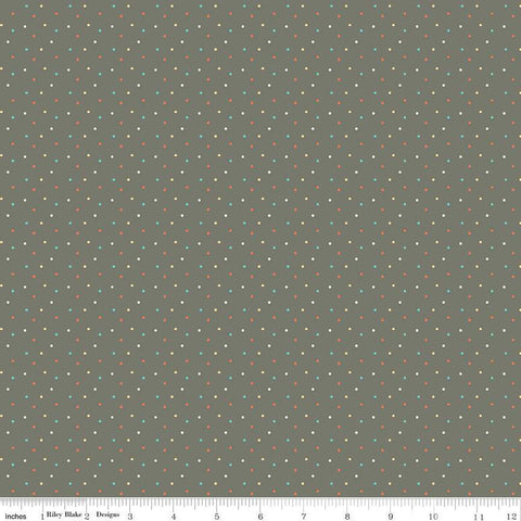 Happy at Home Dots C13706 Gray - Riley Blake Designs - Dot Dotted - Quilting Cotton Fabric