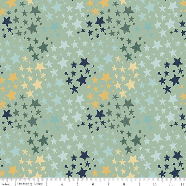 FLANNEL It's a Boy Stars F13904 Sage - Riley Blake Designs - Star - FLANNEL Cotton Fabric