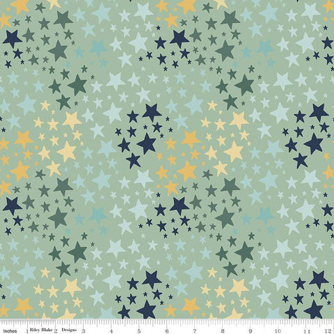 SALE FLANNEL It's a Boy Stars F13904 Sage - Riley Blake Designs - Star - FLANNEL Cotton Fabric